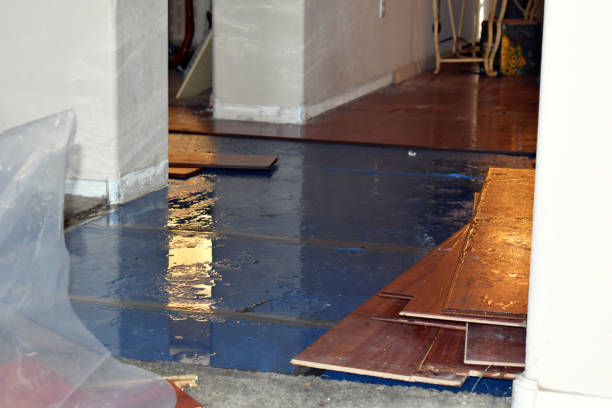 Professional Burst Pipe Cleanup technician working in Collinwood, TN