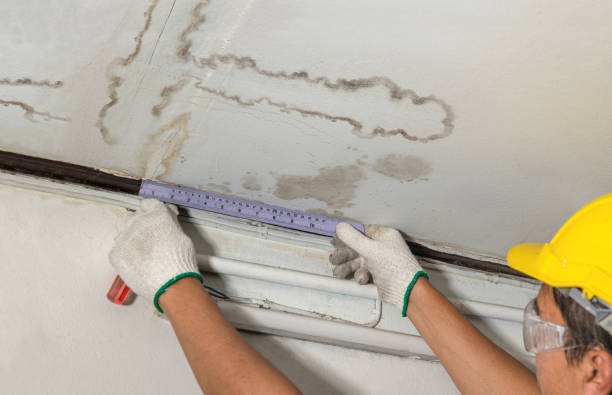 Reliable Burst Pipe Cleanup contractor in Collinwood, TN by Water Damage Irwin